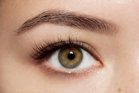 Close-up of make-up green eye with long eyelashes and brown eyebrows