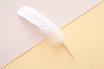white feather on yellow paper background