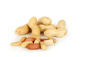 peanuts on a white background with shell