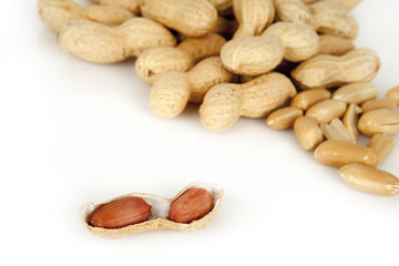 peanuts on a white background with shell