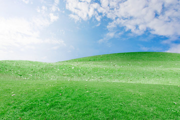 beautiful landscape of nature