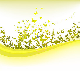 spring with dandelion and butterflies background