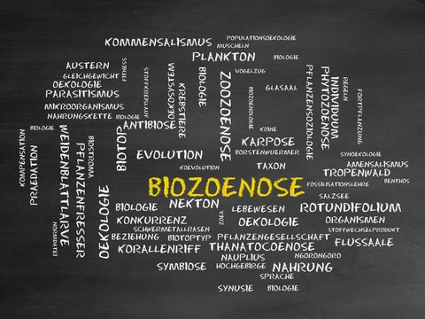 Bioz&ouml;nose
