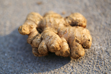 Fresh Ginger