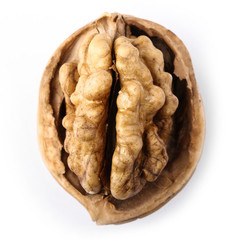 Walnut Isolated On White