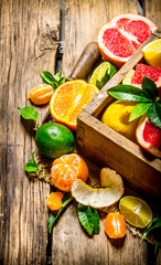 Citrus - grapefruit, orange, tangerine, lemon, lime in an old box.