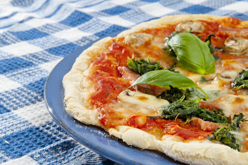 Freshly baked pizza on ceramic plate with copy space