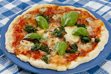 Freshly baked pizza