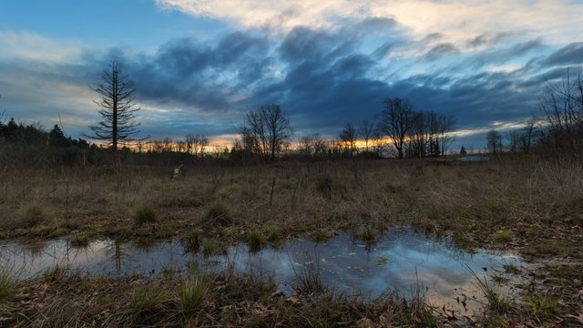 Ultra High Definition 4k Time lapse movie of colorful sunset and clouds with water reflection in Foster Floodplain Natural Area in Portland Oregon one winter evening