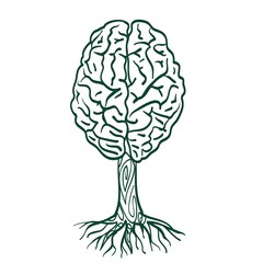 дерево мозг