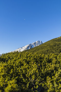 Balloon flies over the top of a mountain.