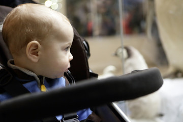 Baby on a stroller