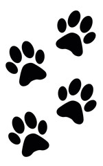 Fototapeta premium Animal&nbsp;traces