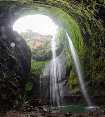 Foto op Aluminium Madakaripura waterfall © gnomeandi