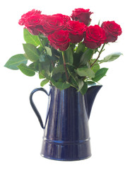 red roses in blue pot