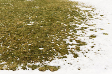 Background from first snow on green grass.