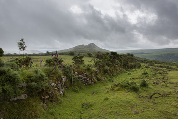 Dartmoor