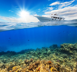 Underwater coral reef with horizon and water surface © Jag_cz