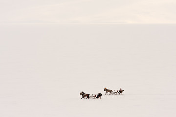 Traditional horse transport with toboggan on Lake Cildir which freeze in every winter time ,Kars