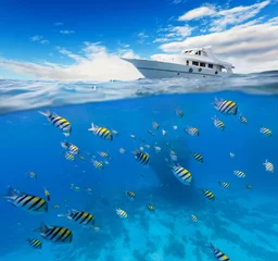 Fotobehang Underwater coral reef with horizon and water surface © Jag_cz