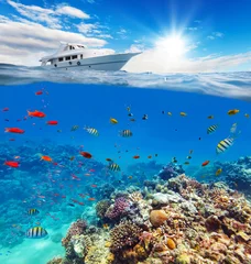 Rolgordijnen Onderwater koraalrif met horizon en wateroppervlak © Jag_cz