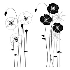 Set of wild plants, poppies and dandelions - vector illustration
