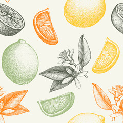 Vector seamless pattern with ink hand drawn lime fruit, flowers, slice and leaves sketch. Vintage citrus background in pastel colors