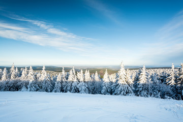 Th&uuml;ringer Wald - Schneekopf