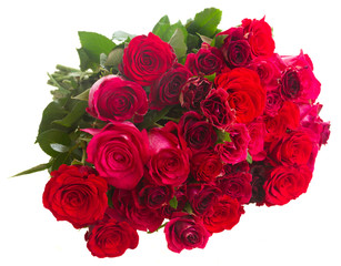 Border of red and pink roses 