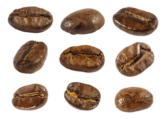 Collection of  fresh roasted coffee beans ( close up ) ( isolate background )
