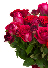 Border of red and pink roses 