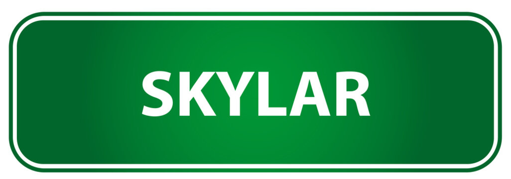 Popular girl name Skylar on a green traffic sign