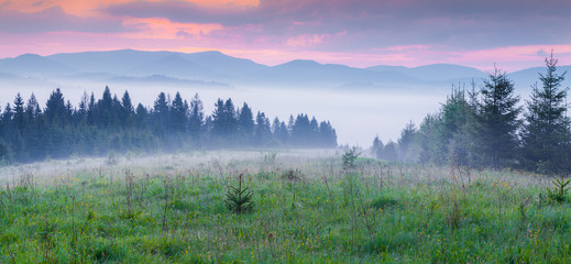 Natural summer scene in Carpathian mountains.