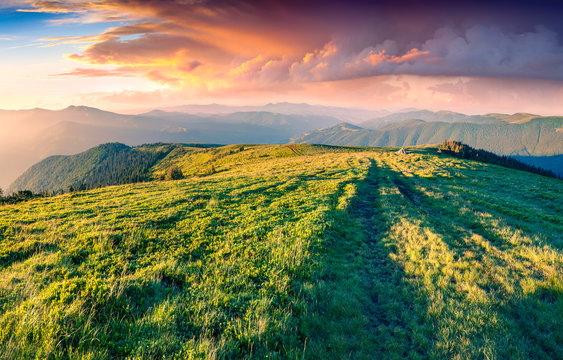 Colorful summer sunrise in the Carpathian mountains