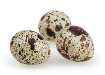 Quail eggs isolated on white background with clipping path