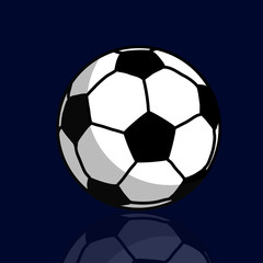 Fototapeta premium Vector illustration soccer ball