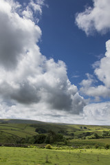 Obraz na płótnie Canvas Dartmoor