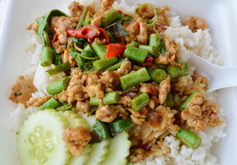 spicy stir fried chicken with basil leaf on rice in foam box for take home