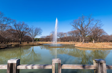 東京　代々木公園