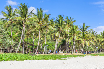 Fototapeta na wymiar Sous les cocotiers de Grande Anse, île de la Réunion 