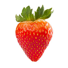 Fresh Strawberry