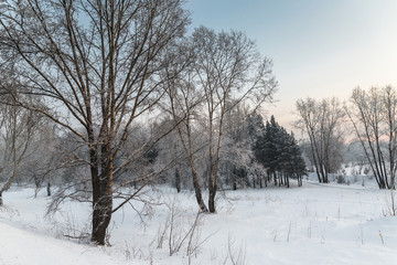 Winter landscape