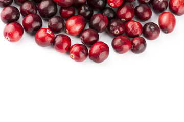Fresh Cranberry