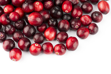 Fresh Cranberry
