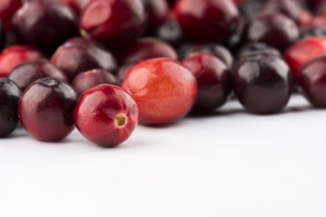 Fresh Cranberry