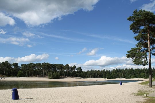 beautiful beach-lake near Utrecht in the Netherlands, surrounded by pine forest with lots of shade and lawns. Henschotermeer лаке surroundings of Utrecht near Amsrerdam in the Netherlands 
