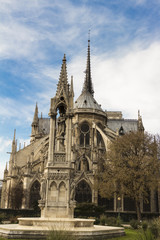 Fototapeta na wymiar The Notre Dame cathedral, Paris.
