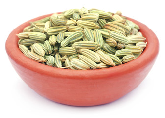 Fennel seeds over white background