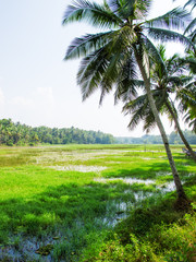 Obraz premium Landscape