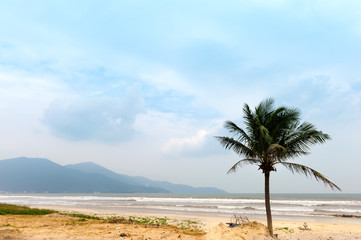 Fototapeta na wymiar Wild beach Danang in cloudy day